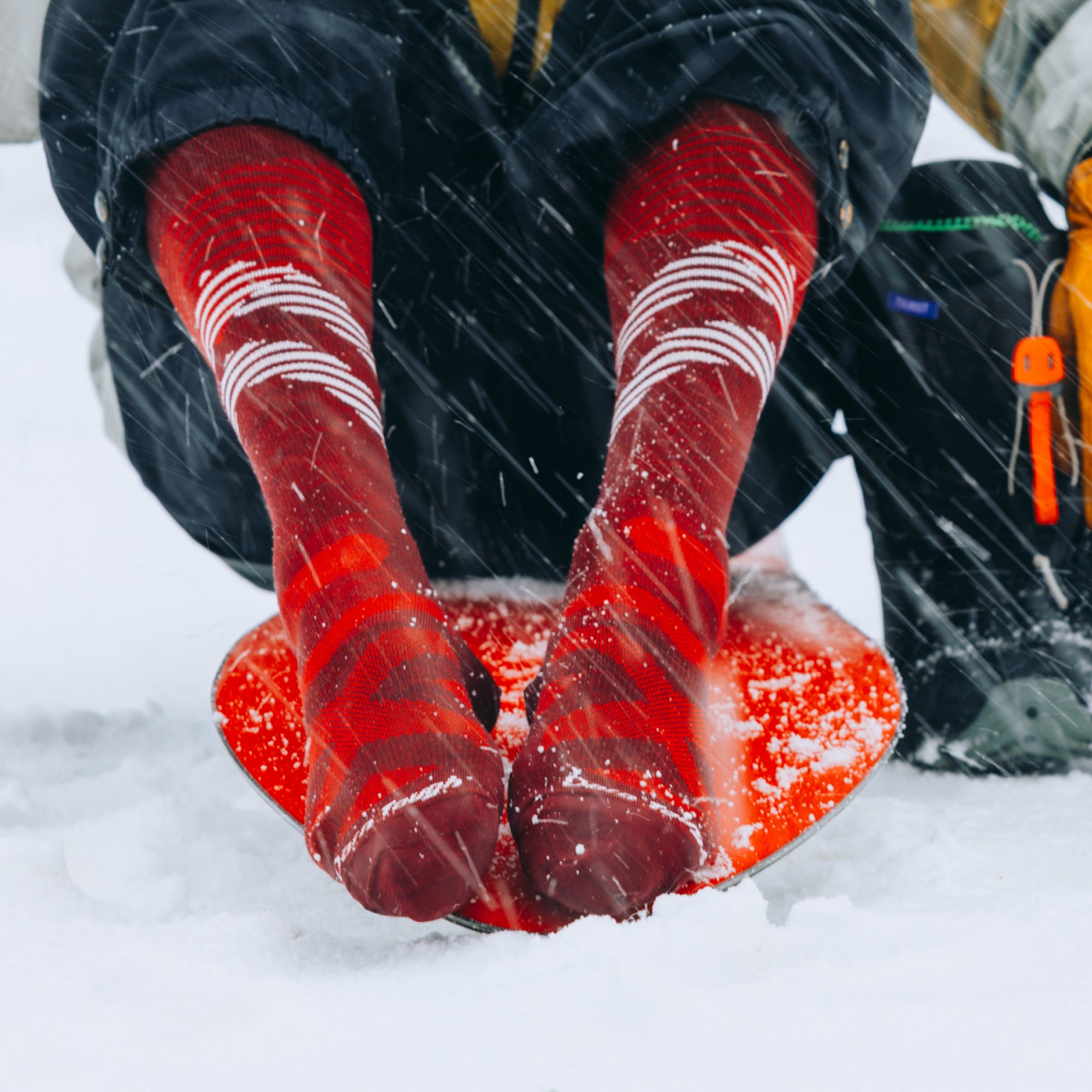 02_8002_Burgundy_LS 02_8002_Burgundy_LS